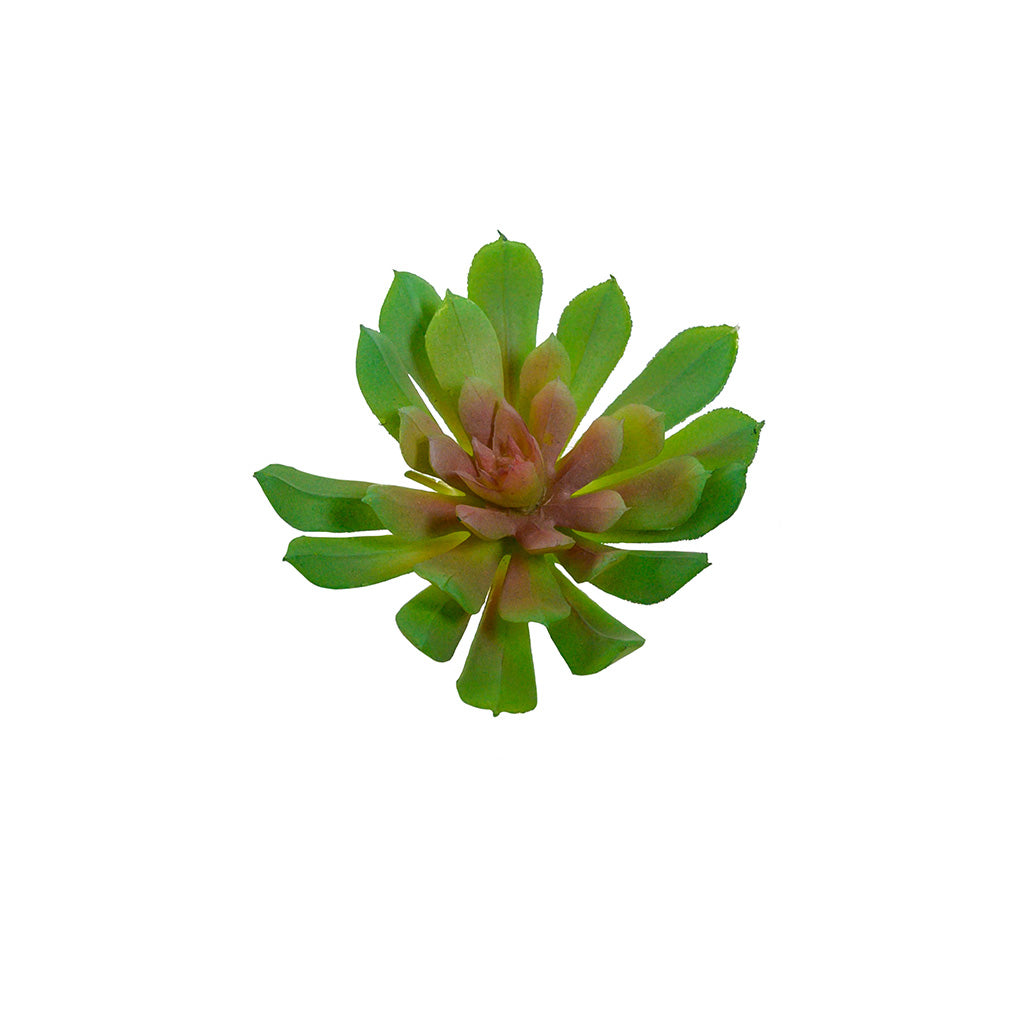 Plant Couture - Artificial Plants - Succulent Rock Rose Green & Pink 10cm - Top