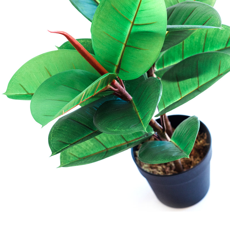 Plant Couture - Artificial Plants - Rubber Tree 82cm - Close Up Of Leaves 