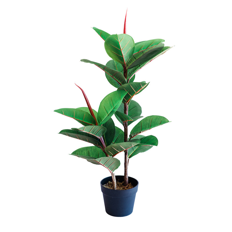 Plant Couture - Artificial Plant & Pot Combo - With Rubber Tree 82cm