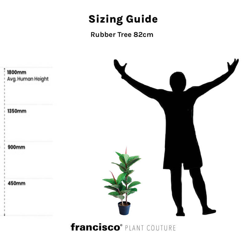 Rubber Tree 82cm - Plant Couture - Artificial Plants