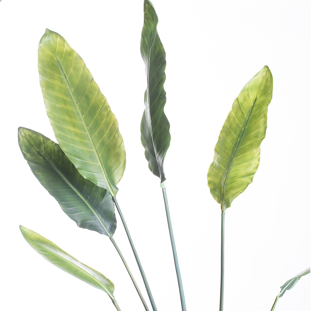 Close-up of leaves of Faux Strelitzia branch 186cm