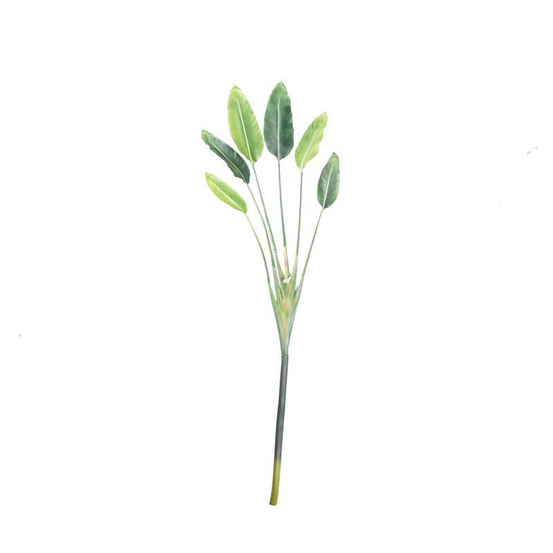 Faux Strelitzia Stem with Real touch leaves in a fan shape 186cm 