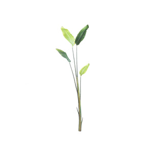 Strelitzia Stem 4 Leaves 156cm - Plant Couture - Artificial Plants