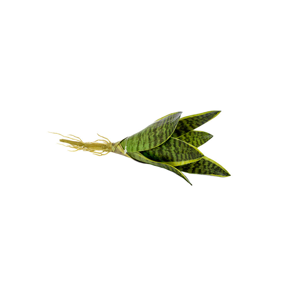 Plant Couture - Artificial Plants - Succulent Dwarf Sansevieria 25cm - Side