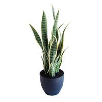 Plant Couture - Artificial Plant & Pot Combo - With Sansevieria Yellow/Green 68cm