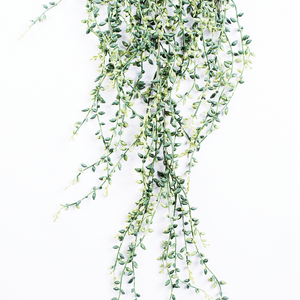 Plant Couture - Artificial Plants - Hanging Seedvine Bush Variegated 102cm - Close Up Bottom Half 