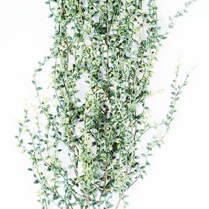 Plant Couture - Artificial Plants - Hanging Seedvine Bush Variegated 102cm - Close Up