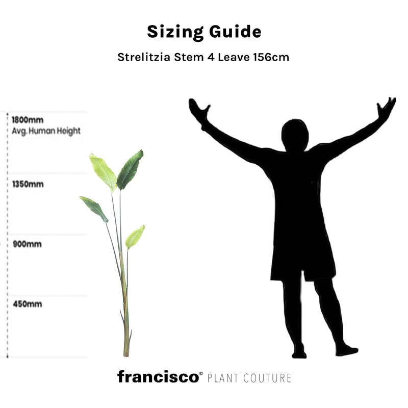 Strelitzia Stem 4 Leaves 156cm - Plant Couture - Artificial Plants