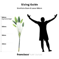 Strelitzia Stem 6 Leaves 186cm - Plant Couture - Artificial Plants