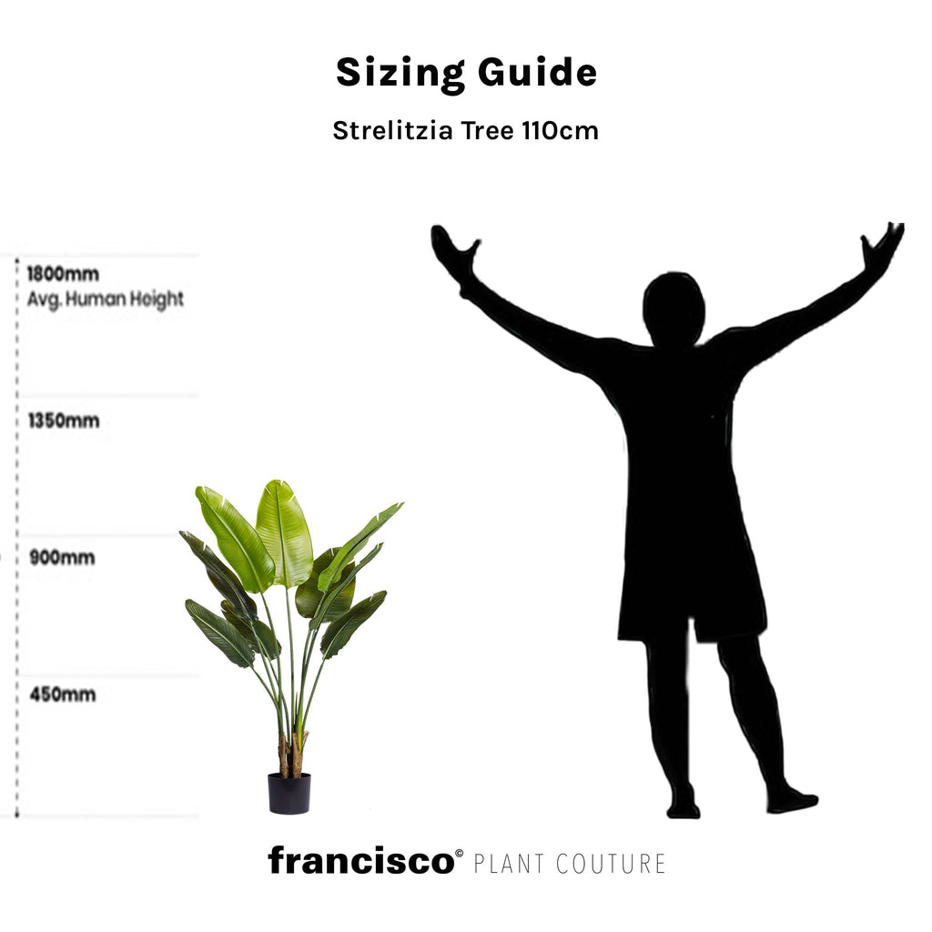 Strelitzia Tree 110cm - Plant Couture - Artificial Plants