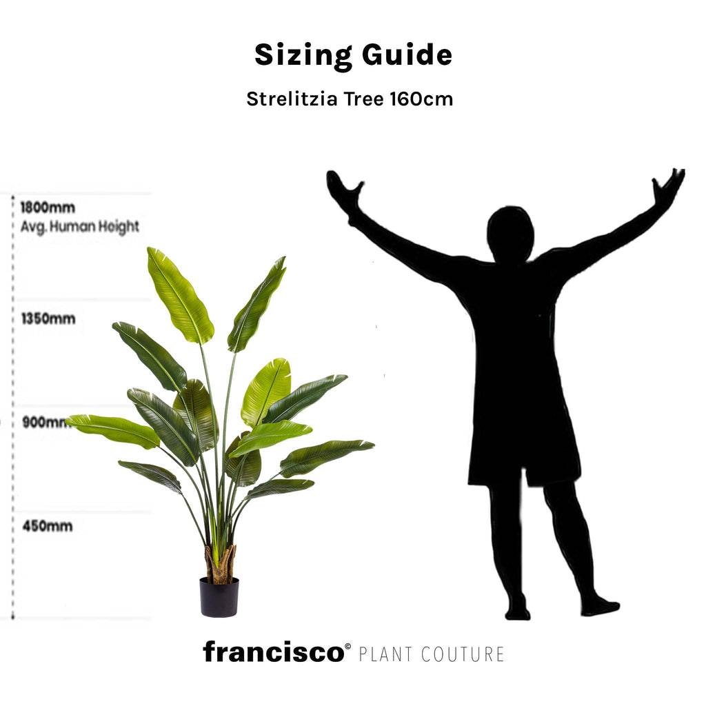 Strelitzia Tree 160cm - Plant Couture - Artificial Plants