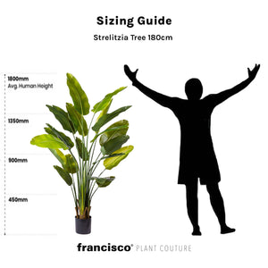 Strelitzia Tree 180cm - Plant Couture - Artificial Plants