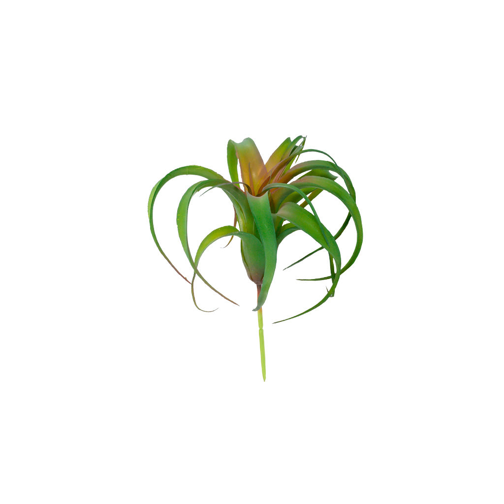 Plant Couture - Artificial Plants - Succulent Airplant 20cm - Front 