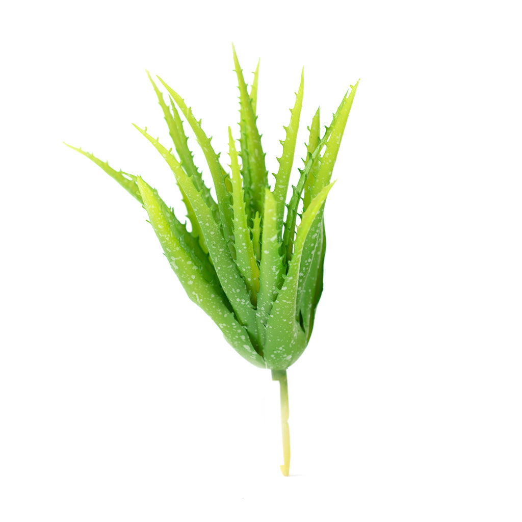 Plant Couture - Artificial Plants - Aloe Pvc 24cm