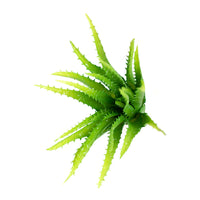 Plant Couture - Artificial Plants - Aloe Pvc 24cm - Top View 