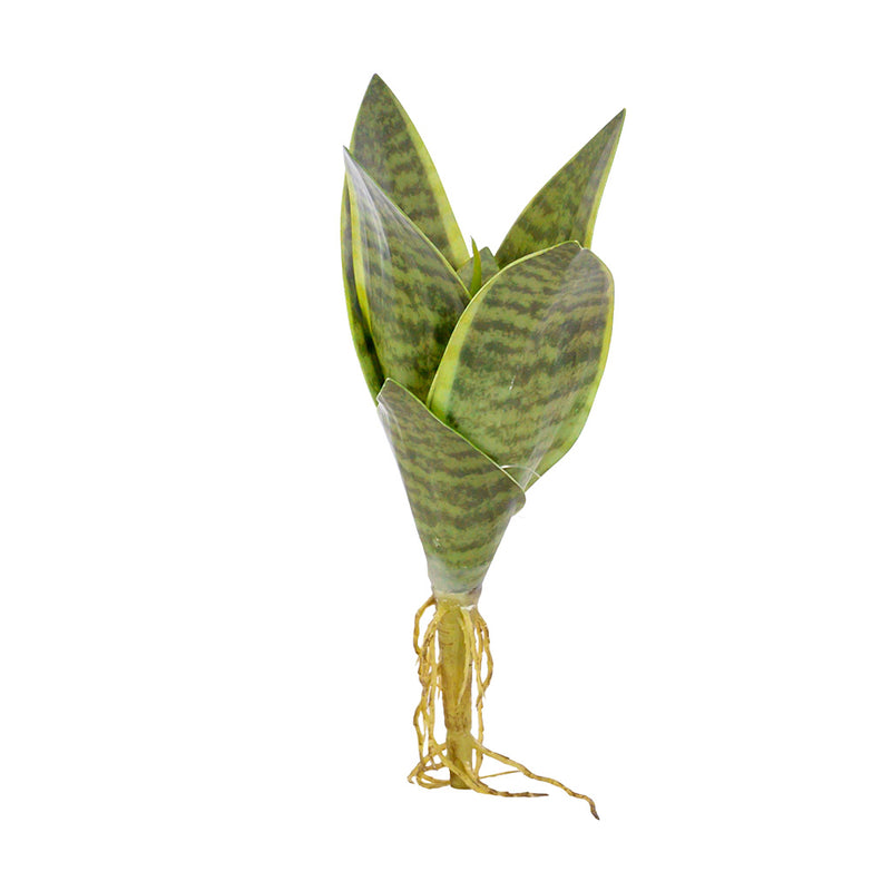 Plant Couture - Artificial Plants - Succulent Dwarf Sansevieria 23cm