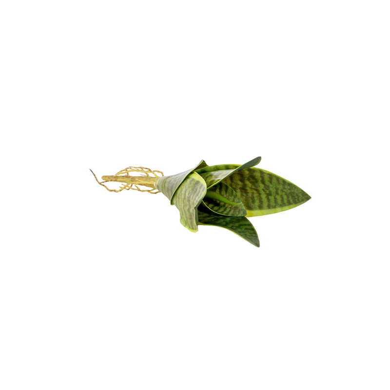 Plant Couture - Artificial Plants - Succulent Dwarf Sansevieria 23cm - Side