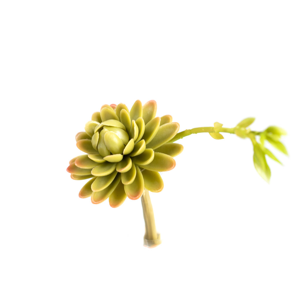 Plant Couture - Artificial Plants -Succulent Echiveria Elegance 19cm