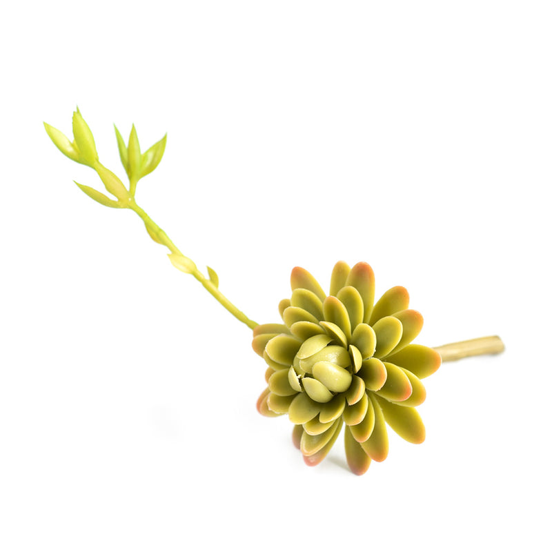 Plant Couture - Artificial Plants -Succulent Echiveria Elegance 19cm - Top