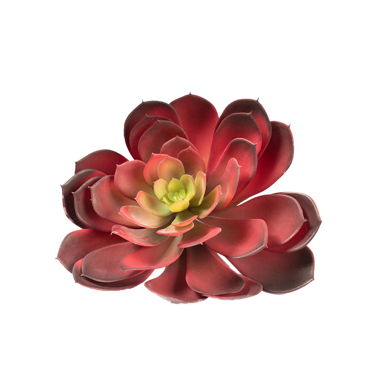 Plant Couture - Artificial Plants - Succulent Rock Rose Aeonium Red 18cm