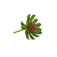 Plant Couture - Artificial Plants - Succulent Rock Rose Green & Pink 10cm