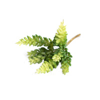 Plant Couture - Artificial Plants - Succulent Sedum 18cm - Top
