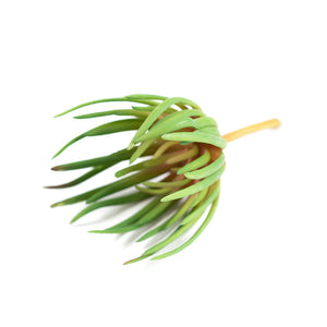 Plant Couture - Artificial Plants - Succulent Spiky 21cm