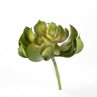 Plant Couture - Artificial Plants - Succulent Topsy Turvey 13cm