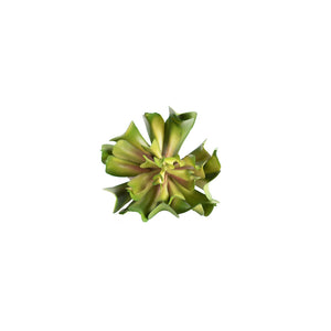 Plant Couture - Artificial Plants - Succulent Topsy Turvey 13cm - Top