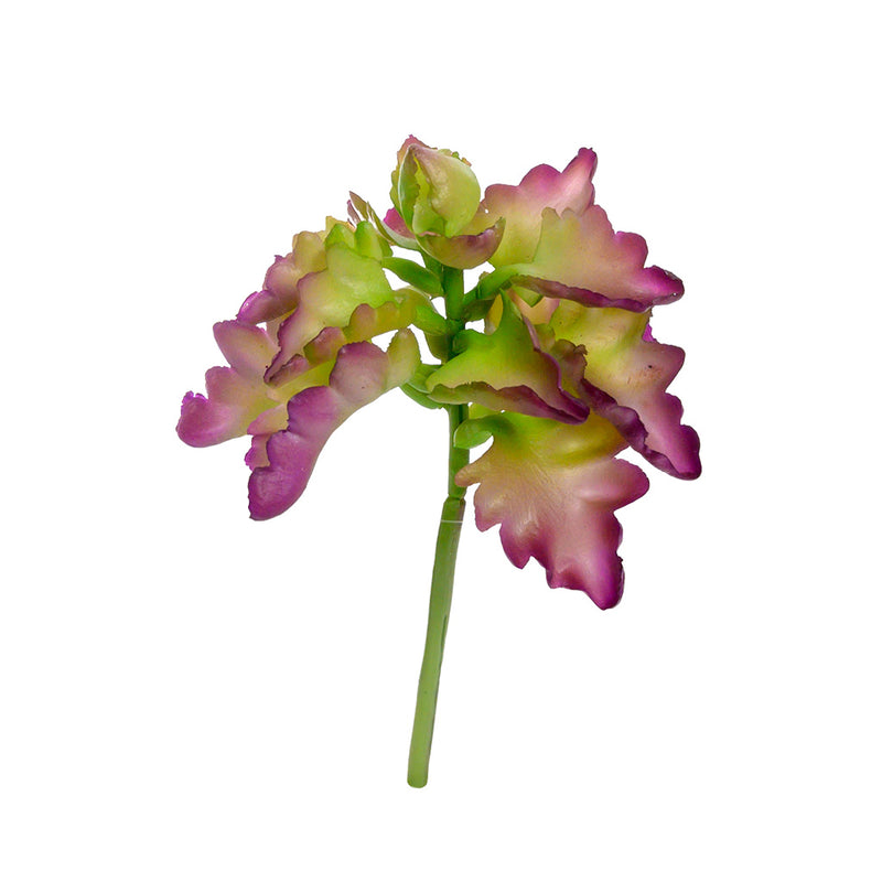 Plant Couture - Artificial Plants - Succulent Triangle Denticle 18cm - Front