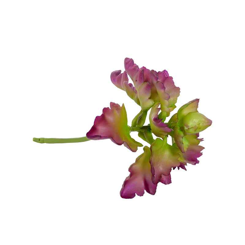 Plant Couture - Artificial Plants - Succulent Triangle Denticle 18cm - Side