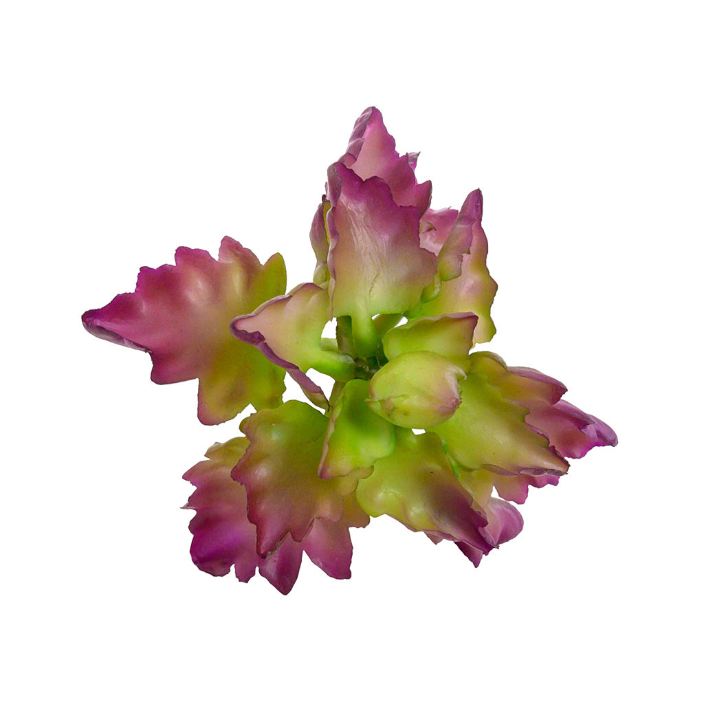 Plant Couture - Artificial Plants - Succulent Triangle Denticle 18cm