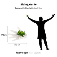 Succulent Echiveria Hookerli 9cm - Plant Couture - Artificial Plants
