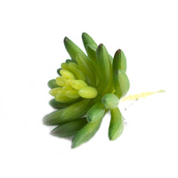 Plant Couture - Artificial Plants - Succulent Echiveria Hookerli 9cm - Left Side