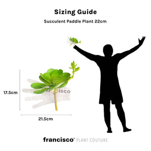 Succulent Paddle Plant 22cm - Plant Couture - Artificial Plants