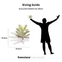 Succulent Rabbit Ear 20cm - Plant Couture - Artificial Plants