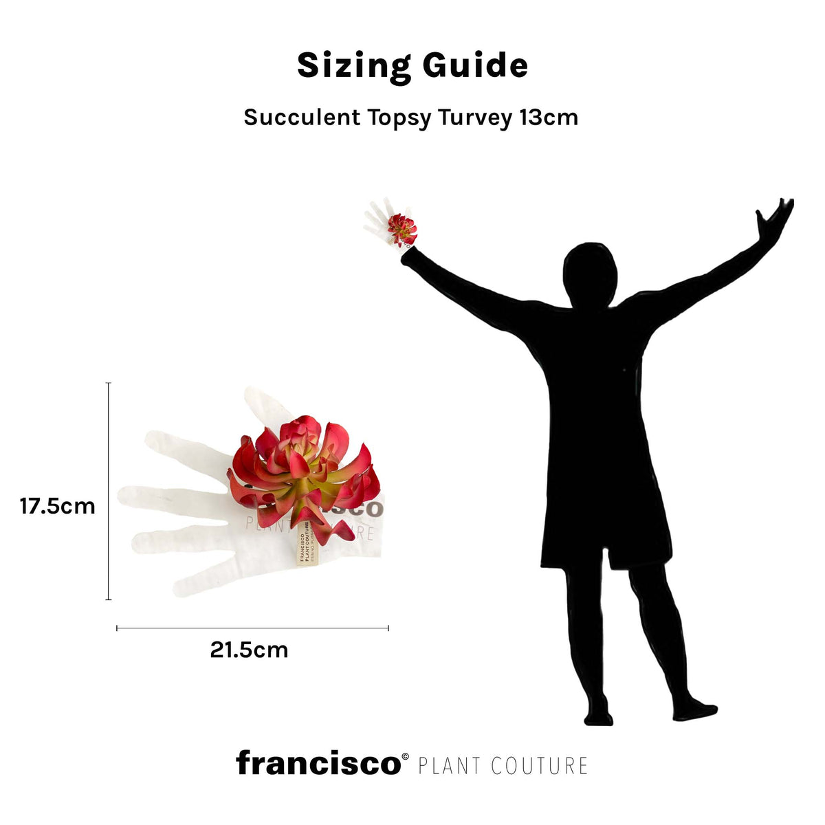 Succulent Topsy Turvey Pink & Red - 13cm