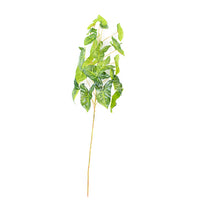 Plant Couture - Artificial Plants - Syngonium Branch 110cm