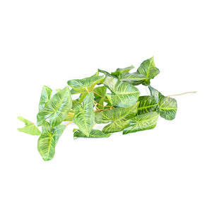 Plant Couture - Artificial Plants - Syngonium Branch 110cm - Side