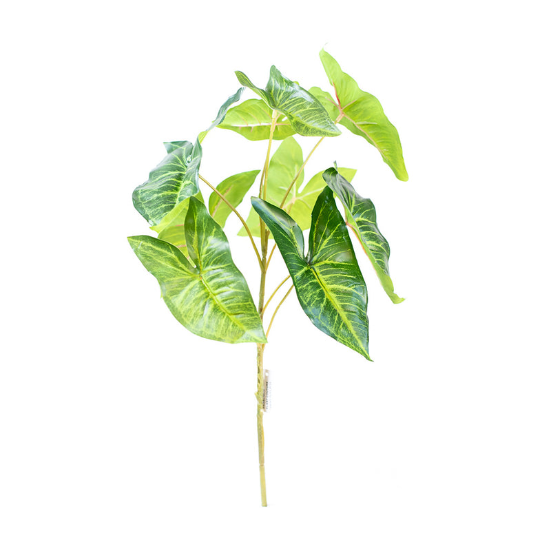 Plant Couture - Artificial Plants - Syngonium Bush 45cm