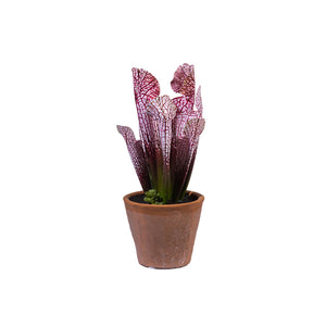 Trumpet Plant Pink in Terracotta Pot 25cm - Plant Couture - Artificial Plants - Potted