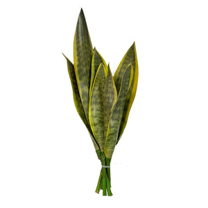 Filler Sansevieria 47cm - Plant Couture - Artificial Plants