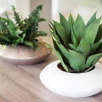 Plant Couture - Pots & Planters - Dia - Lifestyle Image 