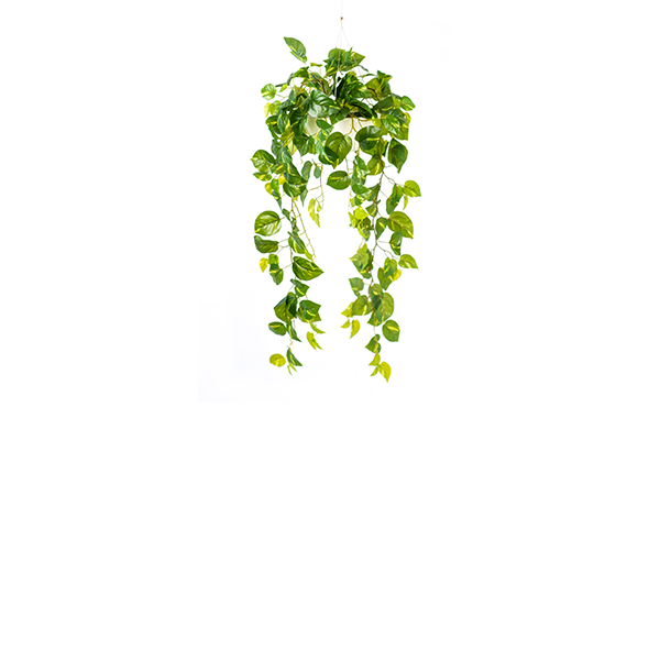 Plant Couture - Artificial Plant & Pot Combo - Valli Hanging Pot with Hanging Epipremnum