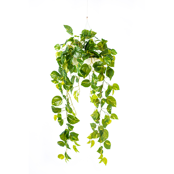 Plant Couture - Artificial Plant & Pot Combo - Valli Hanging Pot with Hanging Epipremnum - Closeup
