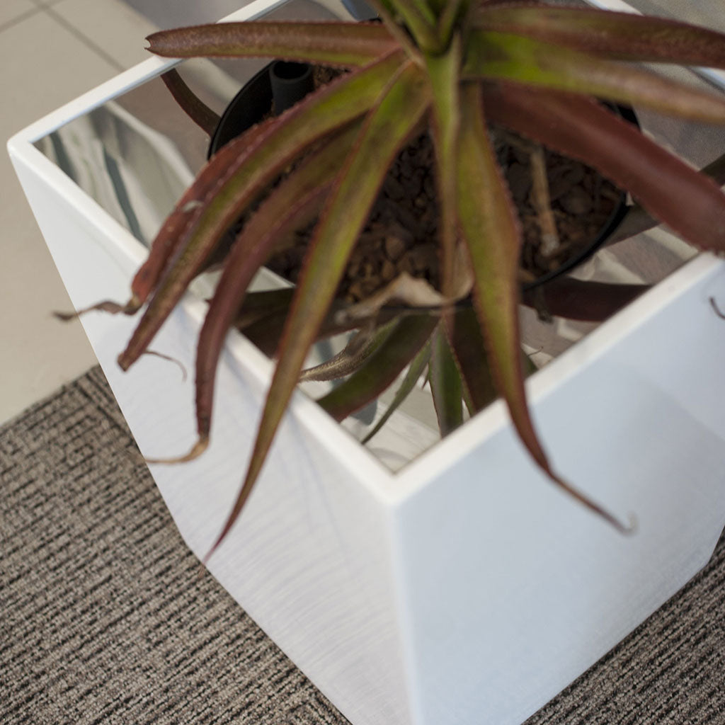 Plant Couture - Artificial Plant Pot - Versace C - Lifestyle Image 