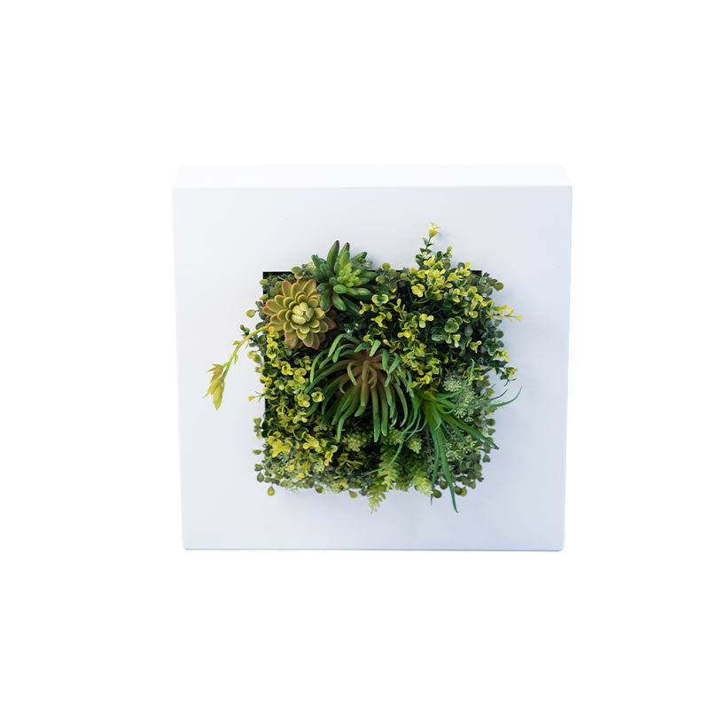 Plant Couture - Artificial Plant & Pot Combo - Wall Box Mild Steel with Succulents - Single 