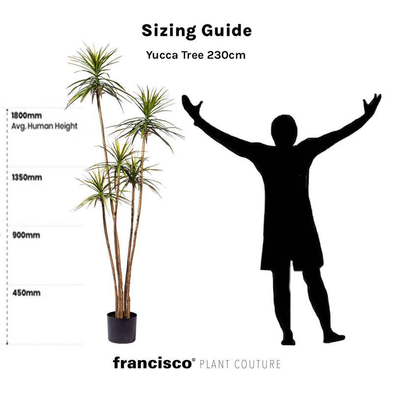 Yucca Tree 230cm - Plant Couture - Artificial Plants