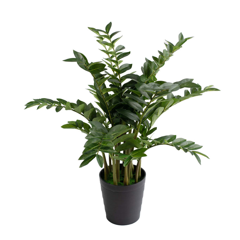 Zamifolia 95cm - Plant Couture - Artificial Plants