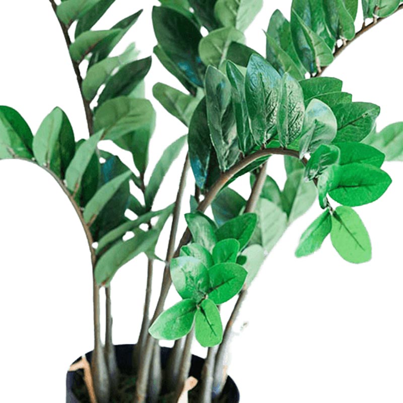 Plant Couture - Artificial Plants - Zamifolia 87cm - Close Up